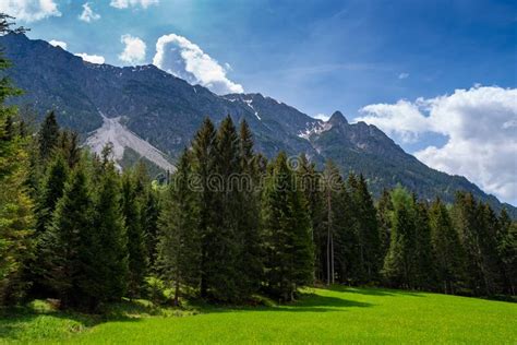 View Over Lush Green Meadows And Dark Green Forest To Majestic