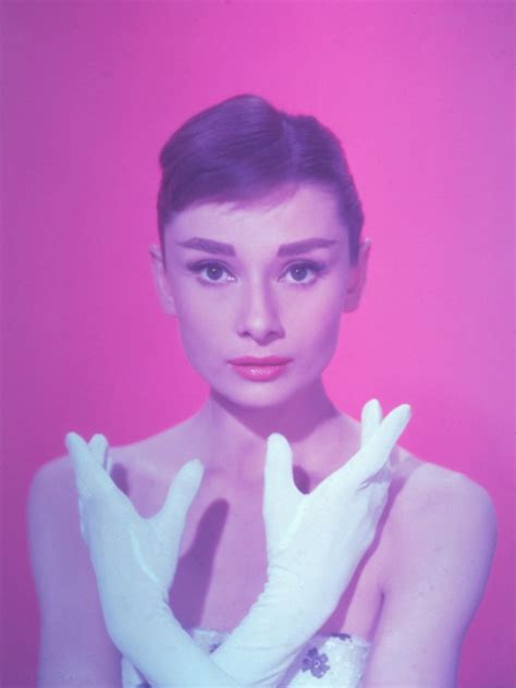 Audrey Hepburn Pink Portrait