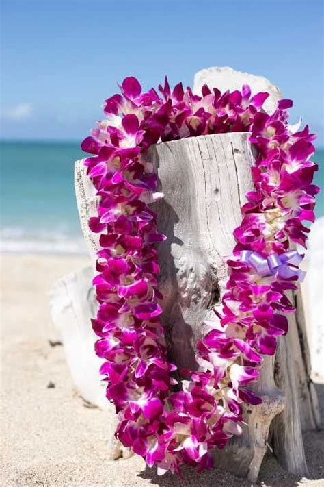 Enjoy Our Hawaiian Lei Greetings Fresh Flower Leis At The