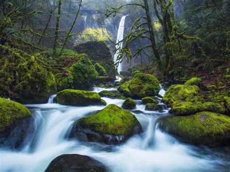 Elowah Falls In Oregon Columbia River Gorge In County Oregon United
