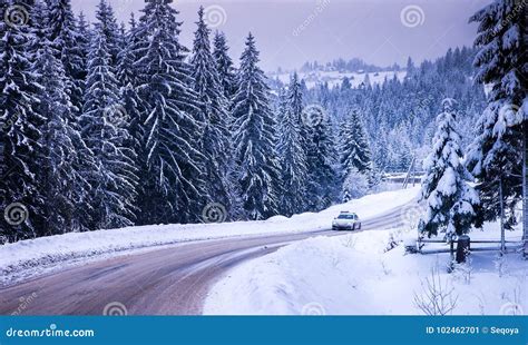 Christmas Winter Landscape Stock Image Image Of Winter 102462701