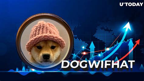 Solana Meme Coin Dogwifhat Wif Overtakes Top 300 With Jaw Dropping 56