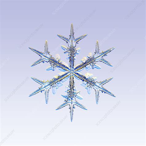 Snowflake Stock Image E1270424 Science Photo Library