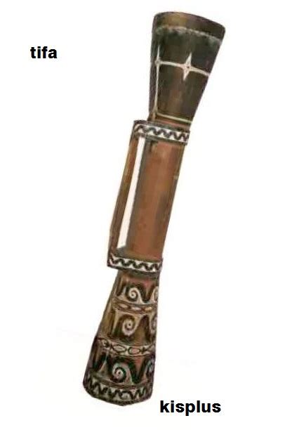 Nama alat musik tersebut yaitu guoto. Alat Musik Tradisional Provinsi Papua Barat - KISPLUS