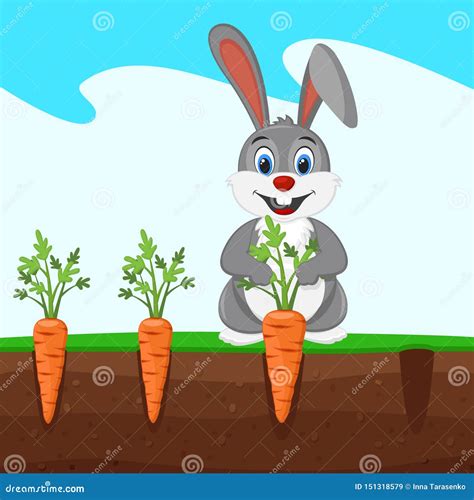 Happy Rabbit Pulls A Carrot Out Of The Ground Stock Vector