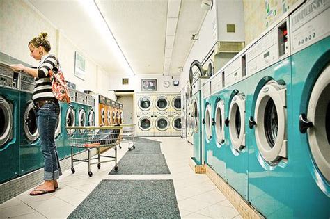 lady zebra laundry shop laundromat laundry design