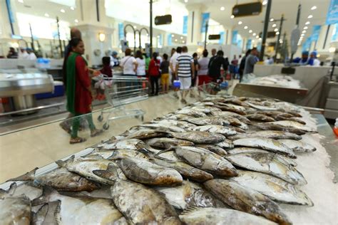 Souq Al Jubail Sells An Incredible 15m Kg Of Fish In The Last 6 Months