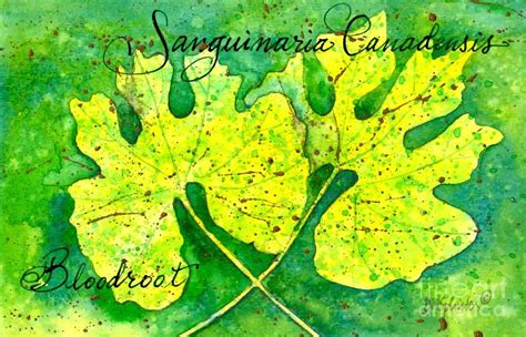 Spring Leaves Bloodroot Painting By Diane Splinter Fine Art America