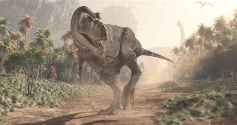 For the time being, the. In Addition To Its Tiny Arms, T. Rex's Legs Meant It Could Barely Run - The Juicy Report