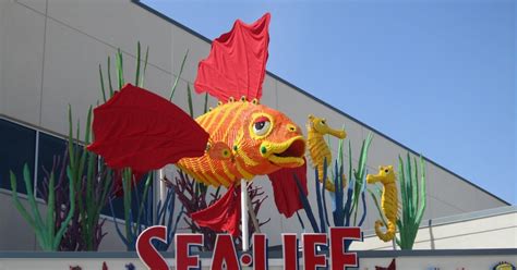 Legoland California And Sea Life Aquarium 2 Park Ticket Musement