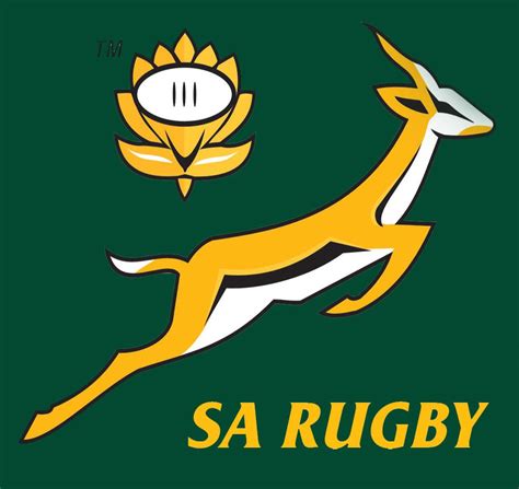 South africa's rugby team, the springboks, won the rugby world cup in 1995, 2007, and 2019. Springboks vs Argentina match roundup - My Alberton