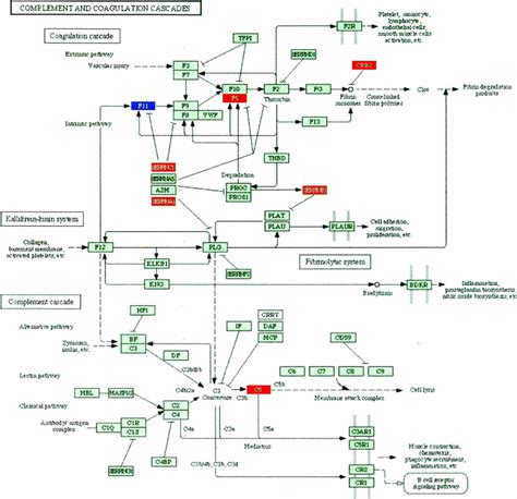 The Complement And Coagulation Cascade As Affected By Treatment With