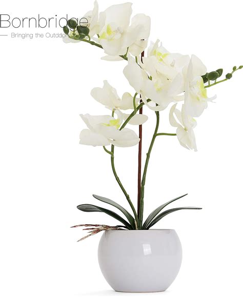 bornbridge artificial orchid fake orchid plant with real touch flowers faux