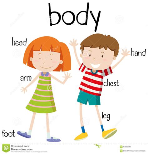 Body Parts For Kids Clipart 5 Clipart Station