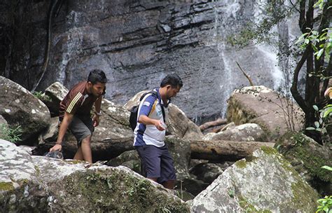Sinharaja Rain Forest Tours Sinharaja Rain Forest Trekking Trips