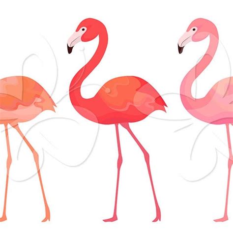 Flamingo Set 2 Clip Art Clipart Set Personal And Commercial Etsy