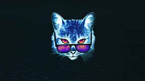 25 Cat With Glasses Wallpapers Wallpaperboat