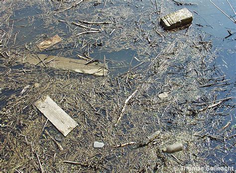 We did not find results for: Stirbt das Meer, stirbt der Mensch - Seilnacht