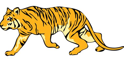 Tiger Stripes Animal · Free Vector Graphic On Pixabay