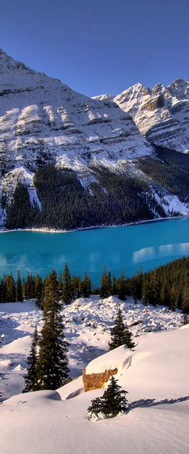 Peyto Lake Canada By Howard Kilgour Beautiful World Beautiful Places