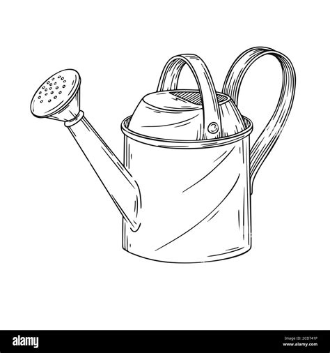 Sketch Watering Can For The Garden Watering Can Isolated On A White Background Vector