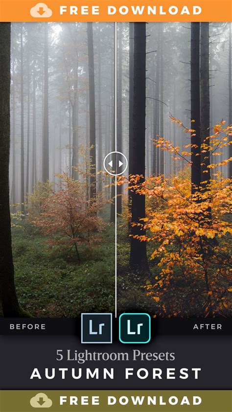 Use these five presets to give your autumn landscapes a. Download FREE Lightroom Presets for Autumn Forest ...