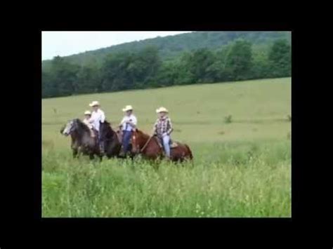 We did not find results for: Meramec Farm Cabins and Gaited Breeds Trail Rides in ...