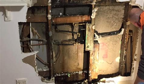 Please take some time to explore my website and for further enquires please do. The Importance of Pre-Purchase Inspections - Crunch Pest ...