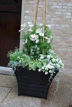 Ecco i fiori da mangiare. Le migliori 1362 immagini su Container gardening nel 2020 | Giardino, Giardinaggio, Fiori