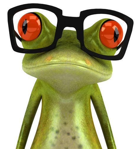 Frog Wearing Sunglasses Wallpaper Beautiful Desktop Wallpapers 2014