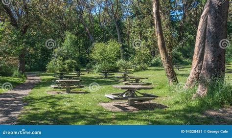 Picnic Tables In The Park Stock Image Image Of Outdoors 94328481