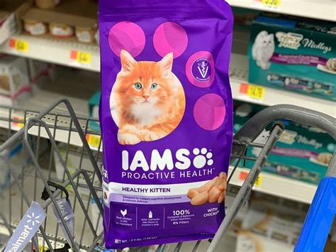 Homemade cat food to gain weight. Picky cat needs to gain weight. Best cat food to gain ...