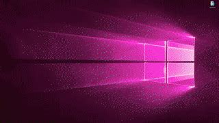 Find funny gifs, cute gifs, reaction gifs and more. The Windows logo RGB - computer live wallpaper DOWNLOAD FREE