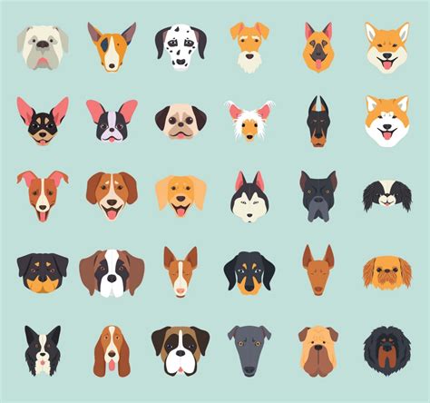 30 Dog Breeds Vector Illustration Icons