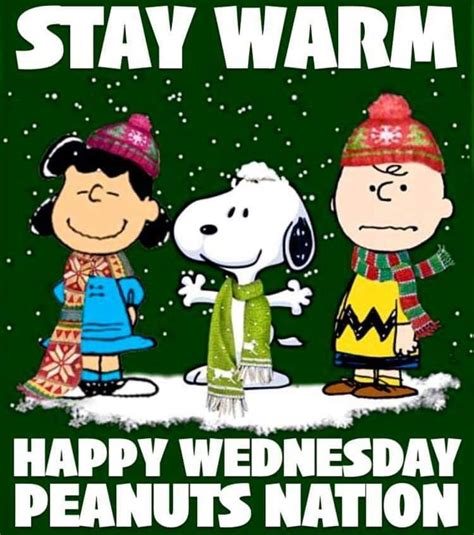 Pin By Francis Thomas On Snoopy Wednesday Charlie Brown And Snoopy