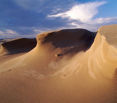 Coolest Boarding: Oregon Dunes National Recreation Area | Family