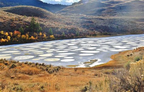 Spotted Lake Canadadescribed By Cbc As “the Most Magical Place In