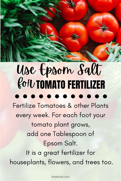 Epsom Salt Uses For Garden And Plants The Whoot In 2021 Epsom Salt