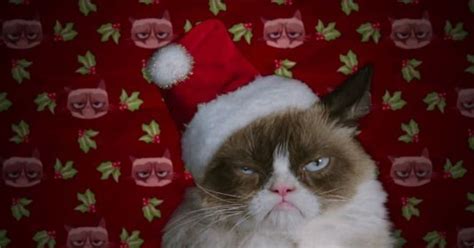 VidÉo Le Film Grumpy Cats Worst Christmas Ever Se Dévoile Dans Une Première Bande Annonce