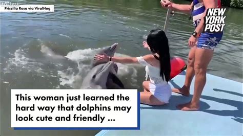 Hot Girl Gets Humped By Frisky Dolphin Youtube