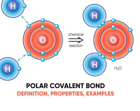 Polar Covalent Bond Definition Properties Examples