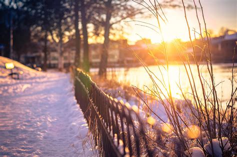Sunny Winter Morning Photograph By Mikael Sjosten Fine Art America