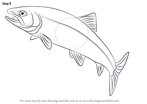Learn How To Draw A Trout Fishes Step By Step Drawing Tutorials