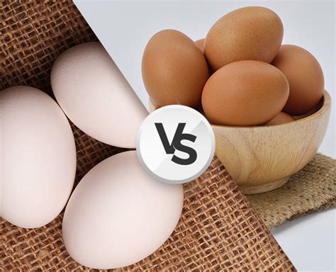 Brown Vs White Eggs Which Is Better For Your Health Know Brown Vs