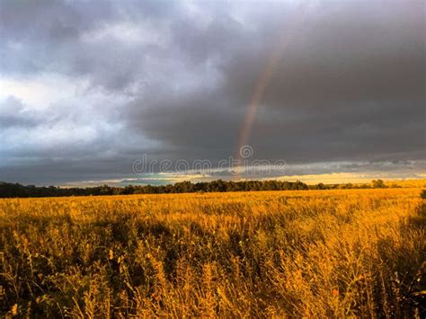 Rainbow Over The Field Stock Photo Image Of Evening 170362782