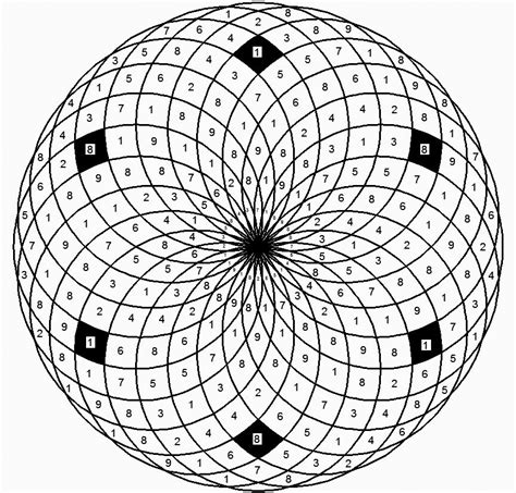 All About Phi Vortex Based Math Disegni Geometrici Sezione