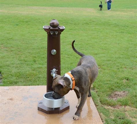 Diy cat water fountain under $15. Dog Park Drinking Fountains | Dog playground, Dog park ...