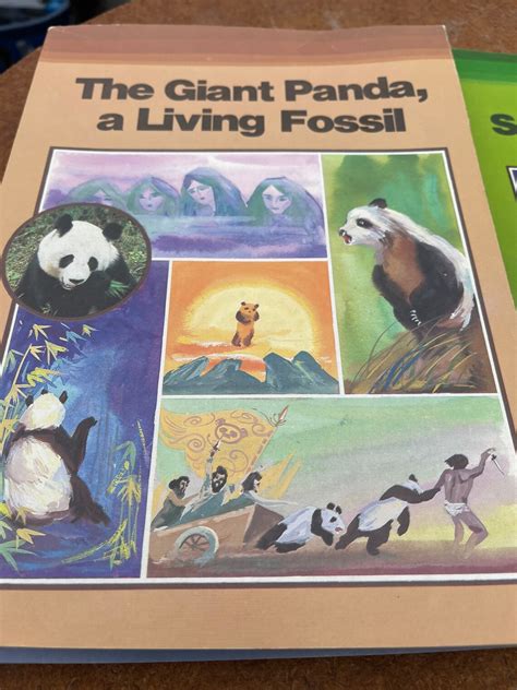 Set Of 6 Cute Panda Bear Educational Books Published In 1988 Etsy