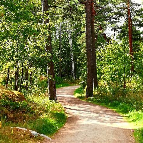 🇫🇮 Woodland Path Helsinki Finland By Kesaranta On Instagram Cr🌲