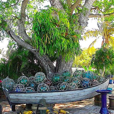 Things In Do In Islamorada Attractions Pelican Cove Resort